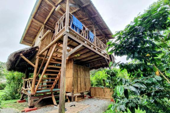 Maracumbo Lodge 莫姆皮切 外观 照片