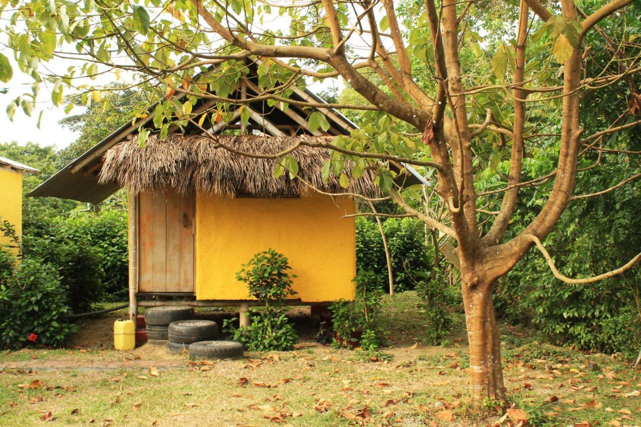 Maracumbo Lodge 莫姆皮切 外观 照片