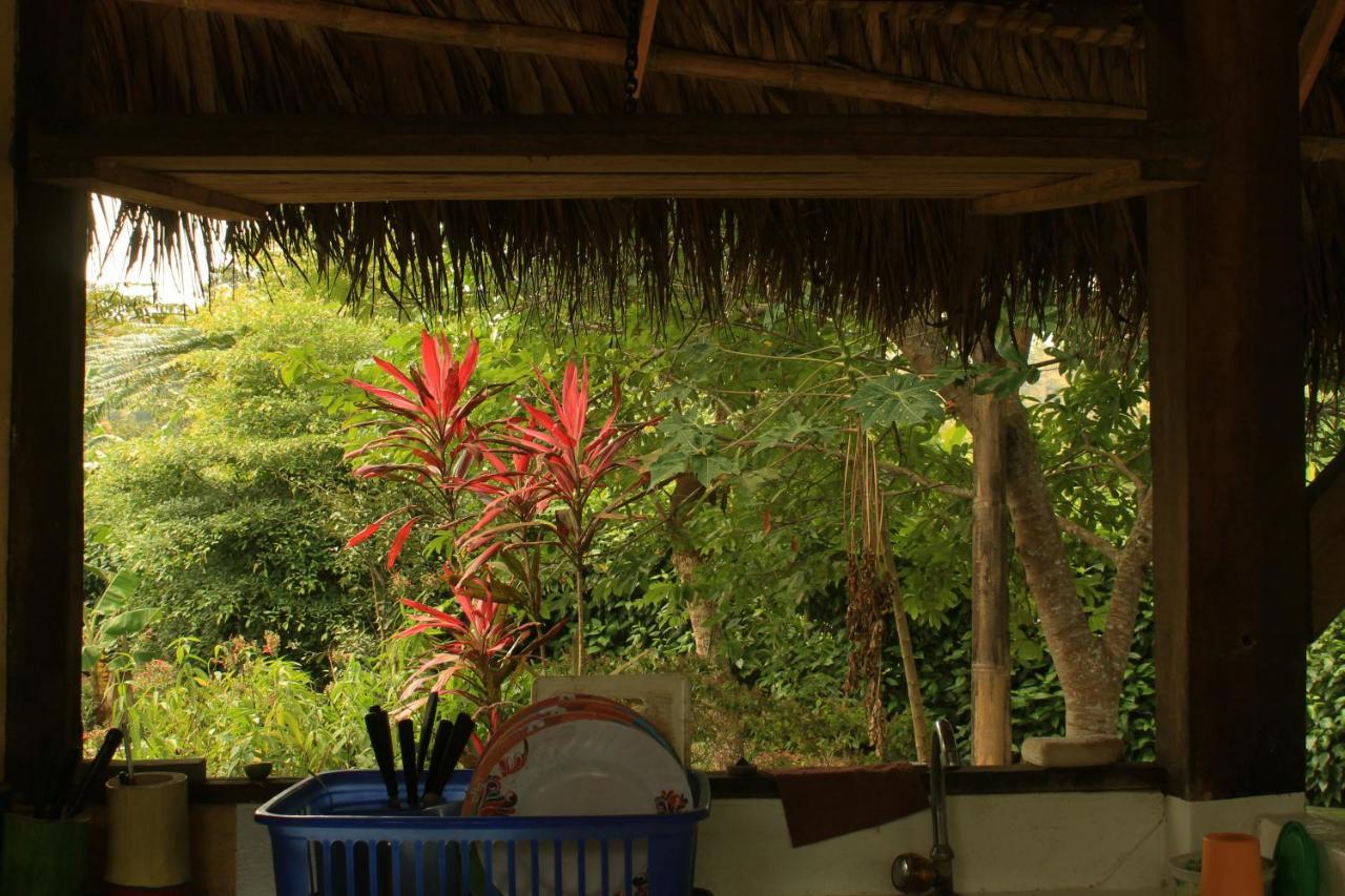 Maracumbo Lodge 莫姆皮切 外观 照片