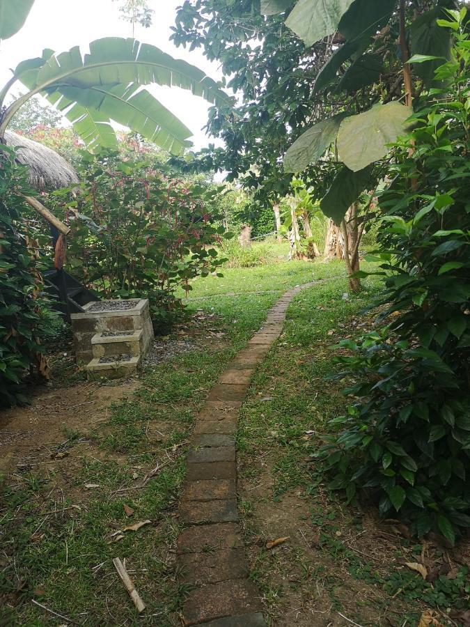 Maracumbo Lodge 莫姆皮切 外观 照片